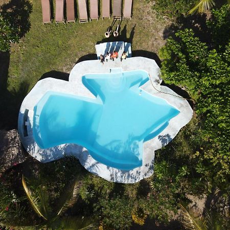 פאג'ה More Africa Guesthouse מראה חיצוני תמונה