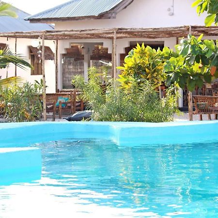 פאג'ה More Africa Guesthouse מראה חיצוני תמונה