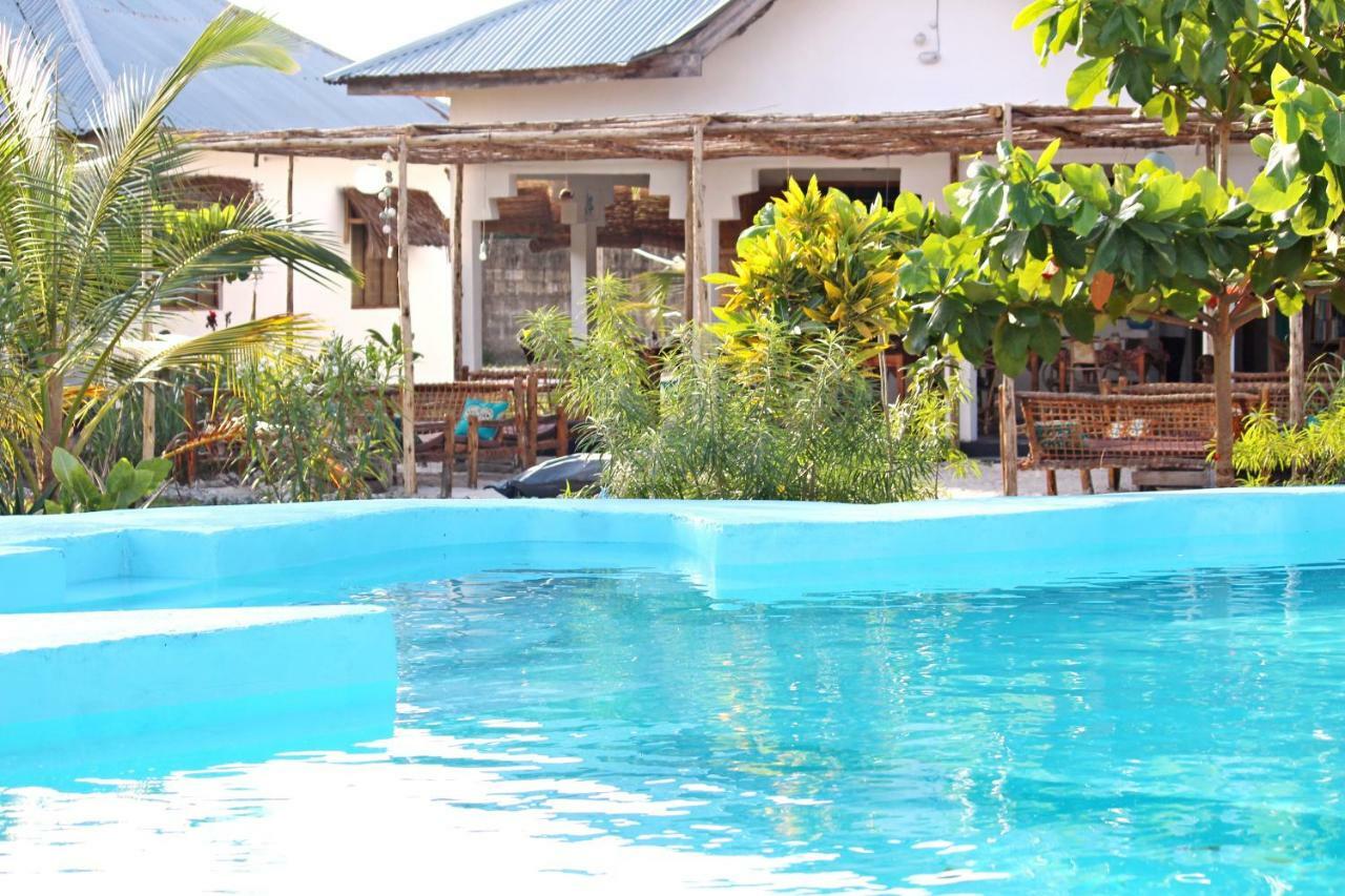 פאג'ה More Africa Guesthouse מראה חיצוני תמונה
